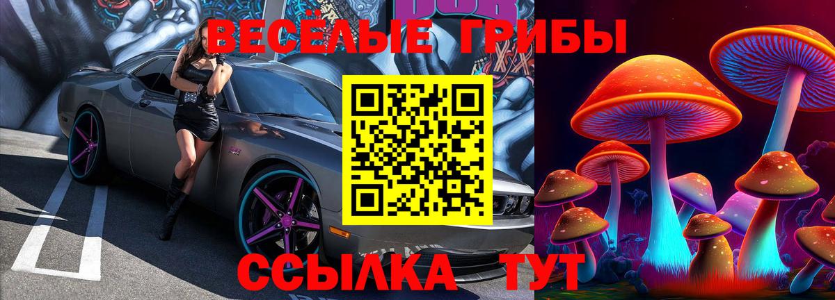 Псилоцибиновые грибы мицелий  Вход с VPN  Избербаш 